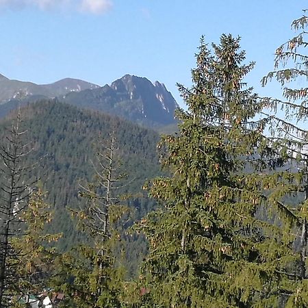 Apartament Z Kogutem Zakopane Esterno foto