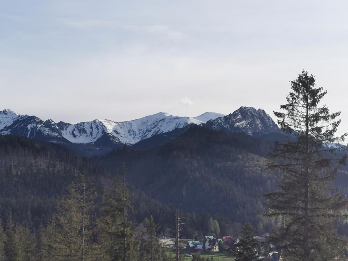 Apartament Z Kogutem Zakopane Esterno foto