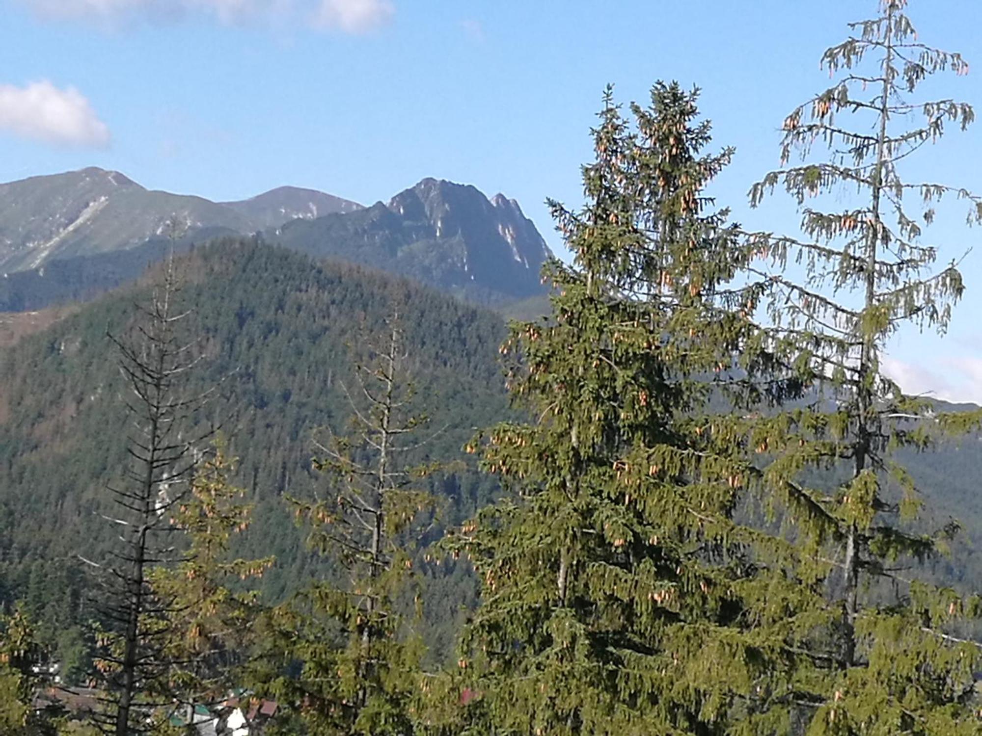 Apartament Z Kogutem Zakopane Esterno foto