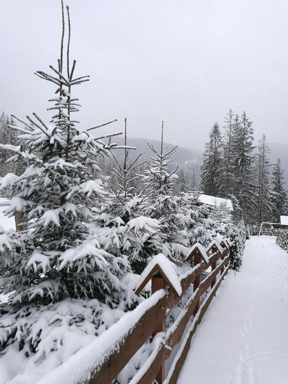Apartament Z Kogutem Zakopane Esterno foto