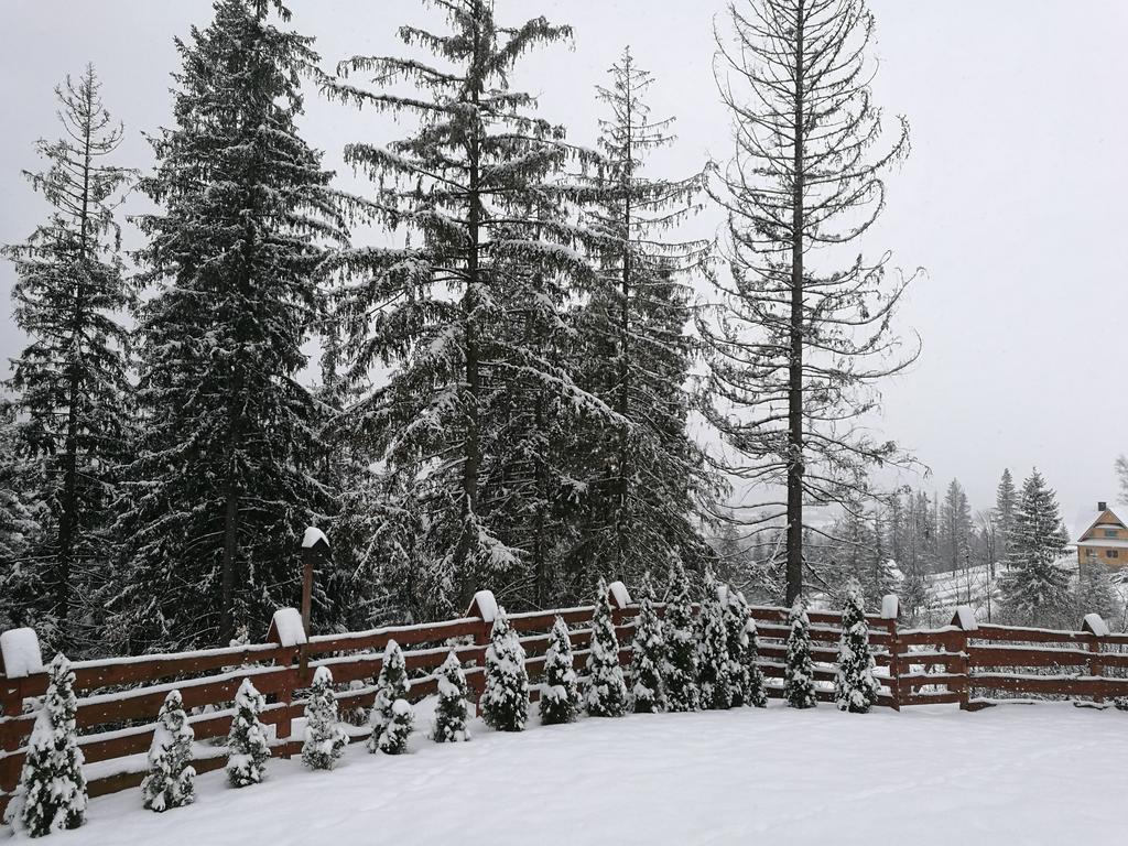 Apartament Z Kogutem Zakopane Esterno foto